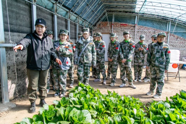 師生在第六埠村蔬菜大棚，了解蔬菜種植過程和常見病蟲害防治等知識。.jpg